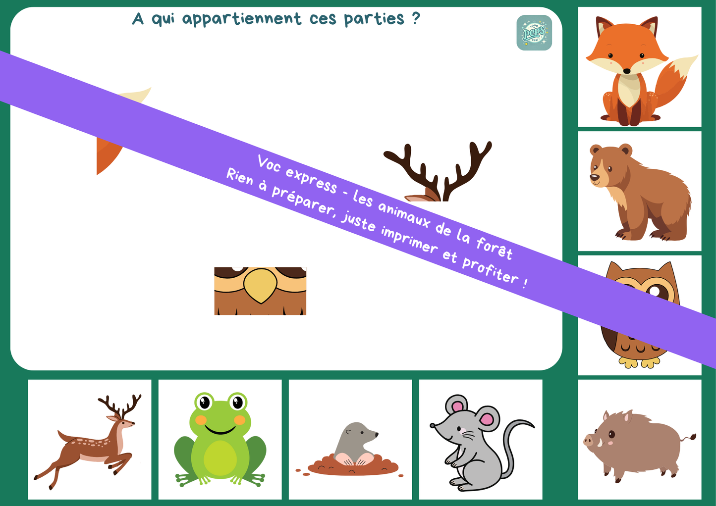 Voc express - les animaux de la forêt