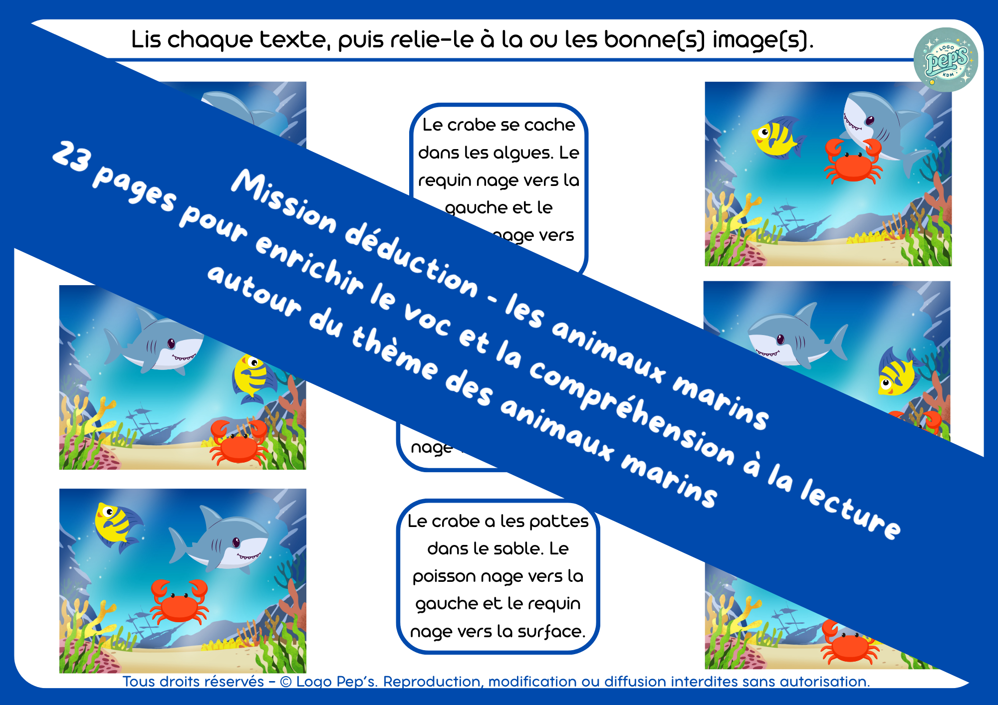 Mission déduction - Les animaux marins