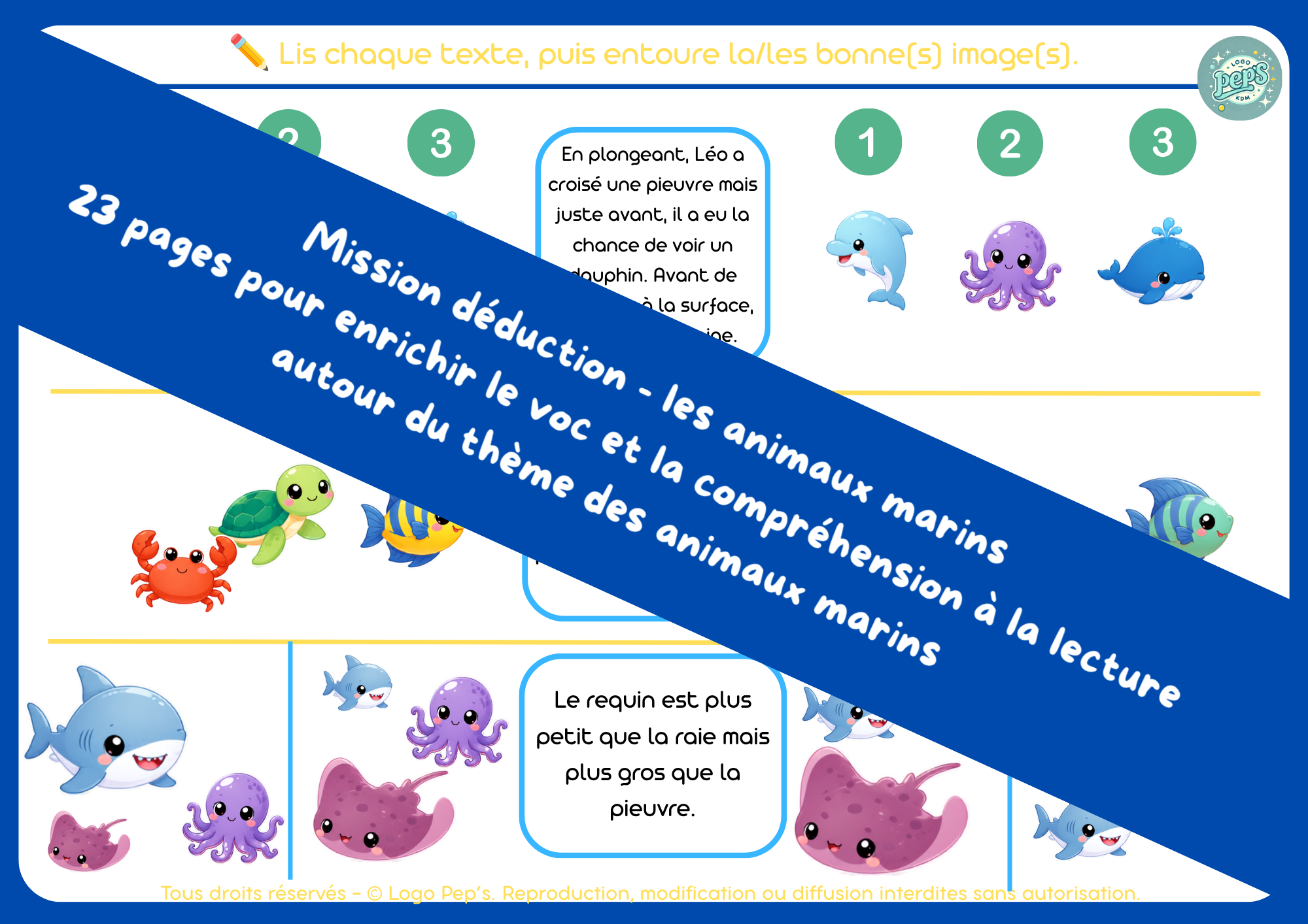 Mission déduction - Les animaux marins