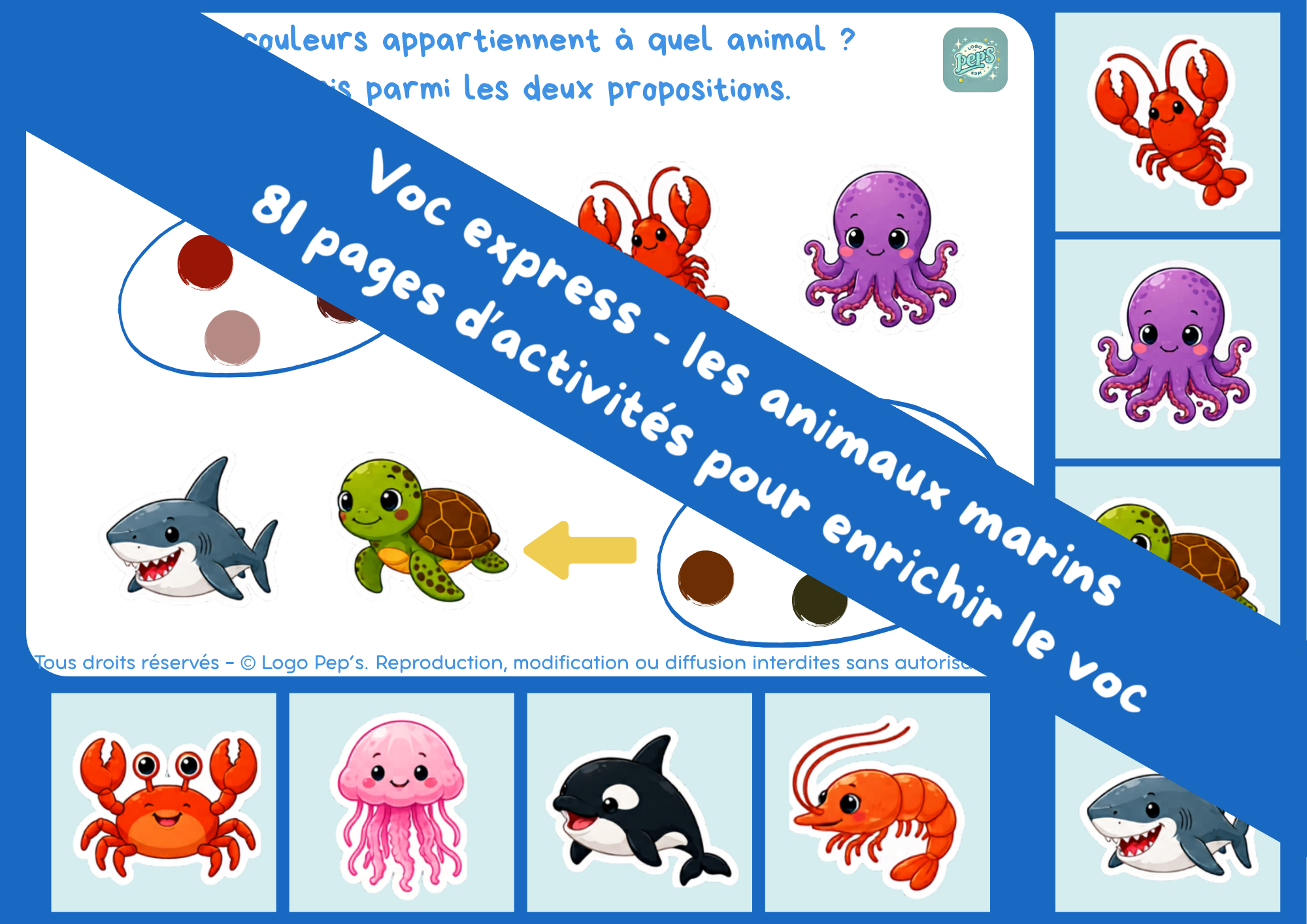 Voc Express – Les animaux marins
