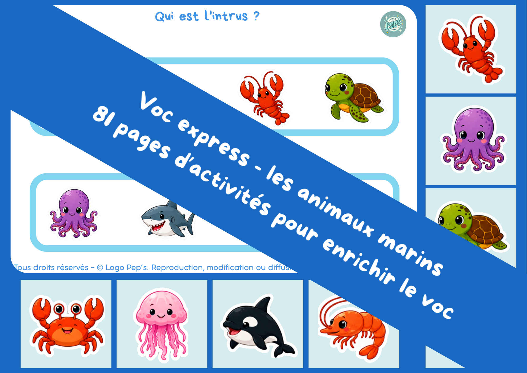 Voc Express – Les animaux marins