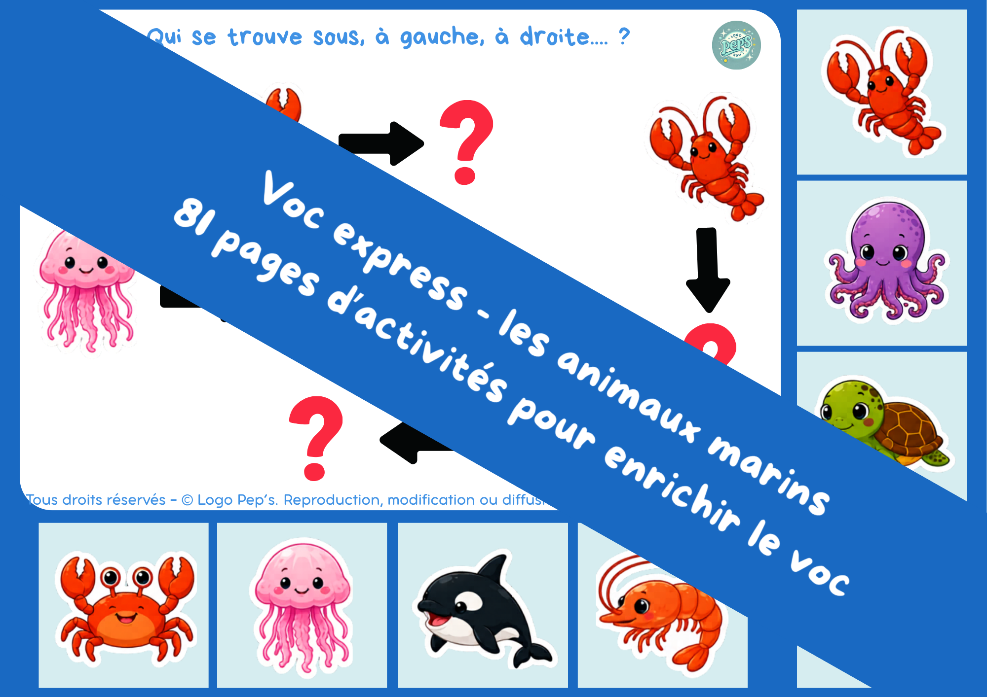 Voc Express – Les animaux marins